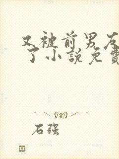 又被前男友盯上 了小说免费阅读全文无弹窗