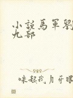 小说马军刘艳第九部