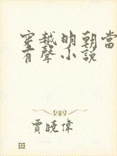 穿越明朝当皇帝有声小说封面