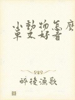 小动物怎么画简单又好看