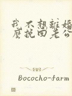 我不想离婚该怎么挽回老公