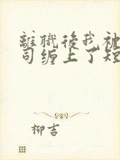 离职后我被前上司缠上了短剧