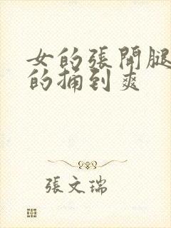 女的张开腿让男的捅到爽