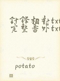 针锋相对txt完整番外txt