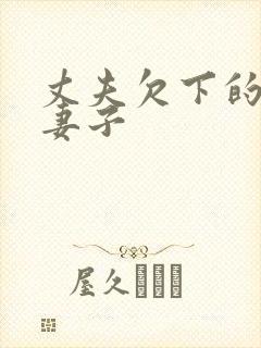 丈夫欠下的债务妻子