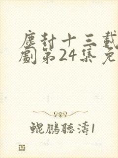 尘封十三载电视剧第24集免费观看