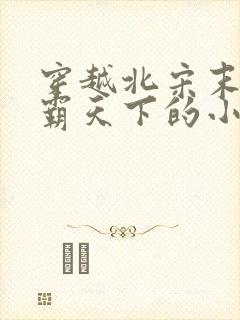 穿越北宋末年争霸天下的小说