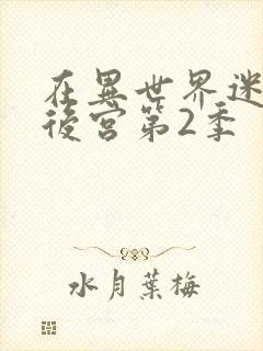 在异世界迷宫开后宫第2季