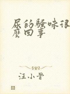 尿的骚味很重怎么回事