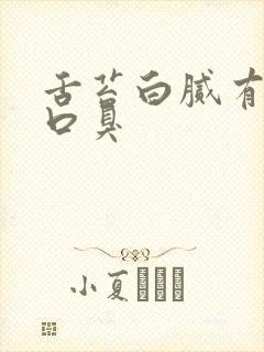 舌苔白腻有齿痕口臭