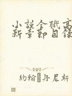 小说全职高手最新章节目录