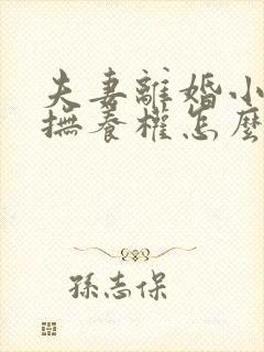 夫妻离婚小孩的抚养权怎么判