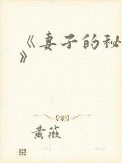 《妻子的秘密2》封面