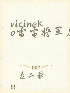 vicineko雷电将军原神同人封面