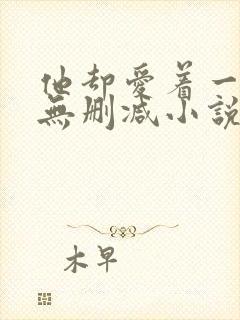 他却爱着一个他无删减小说