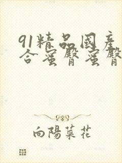 91精品国产综合蜜臀蜜臀