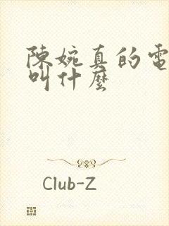 陈婉真的电视剧叫什么