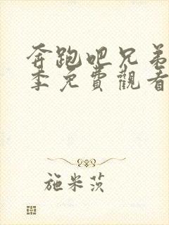 奔跑吧兄弟14季免费观看完整版封面