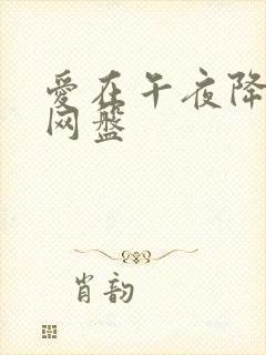 爱在午夜降临前网盘