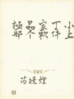 极品家丁小说在哪个软件上看