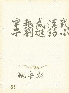 穿越成汉武帝孙子刘进的小说封面