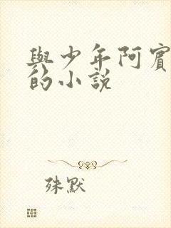 与少年阿宾相似的小说