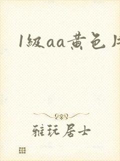 1级aa黄色片