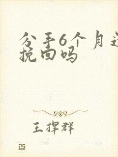 分手6个月还能挽回吗