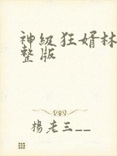 神级狂婿林凡完整版