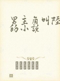 男主角叫陆绍廷的小说