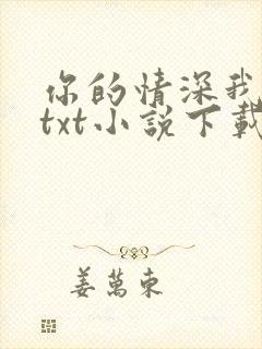 你的情深我不配txt小说下载封面