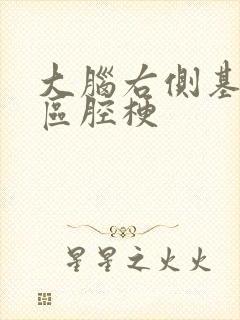 大脑右侧基底节区腔梗