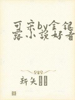 可宋by金银花露小说好看吗