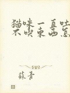 猫咪一直吐黄水不吃东西怎么办