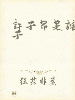 许子昂是谁的儿子封面