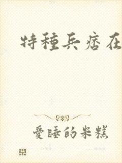 特种兵痞在都市