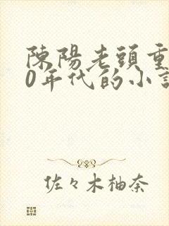 陈阳老头重生90年代的小说封面