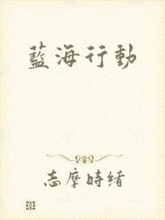 蓝海行动封面