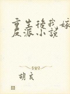 重生后我嫁给了反派小说