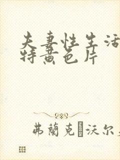 夫妻性生活一级特黄色片