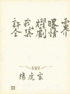 许我耀眼电视剧全集剧情介绍封面