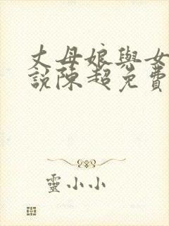 丈母娘与女婿小说陈超免费阅读