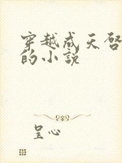 穿越成天启皇帝的小说