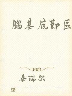 脑基底节区腔梗