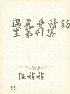 遇见爱情的利先生第41集