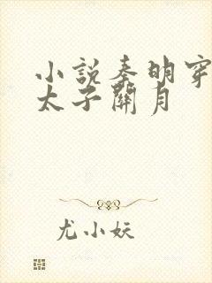 小说秦明穿越成太子关月