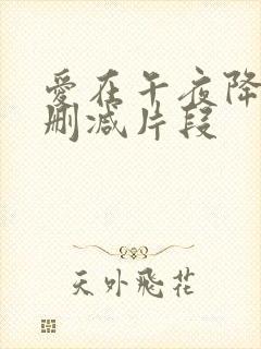 爱在午夜降临前删减片段