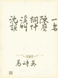 沈溪桐陈一清小说叫什么名字