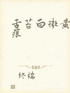 舌苔白微黄有齿痕封面