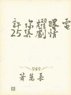 许你耀眼电视剧25集剧情